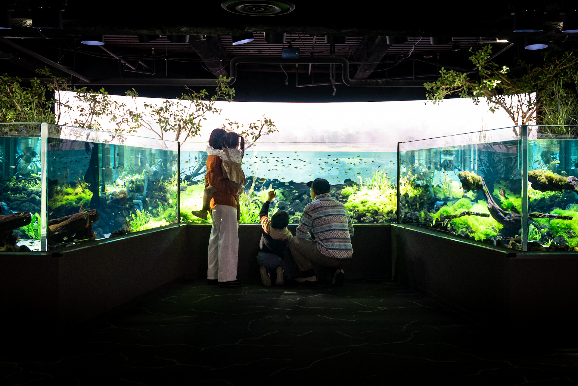 MOFF大型施設運営事業紹介：神奈川水族館、水槽前で親子が魚を観察している様子