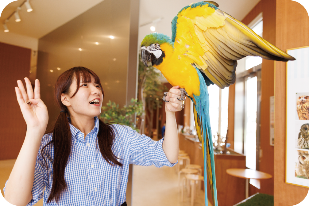 動物カフェでインコを手に乗せるふれあいシーン