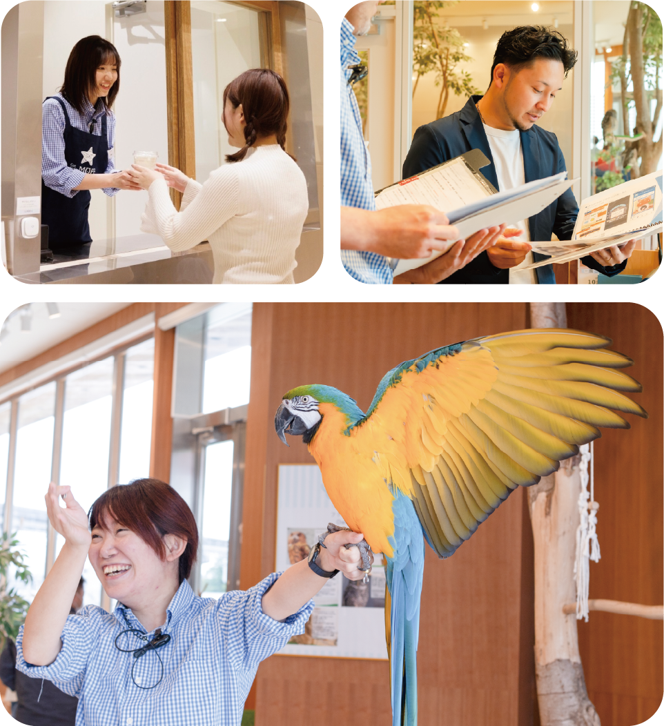 お客様と動物と触れ合うスタッフの様子
