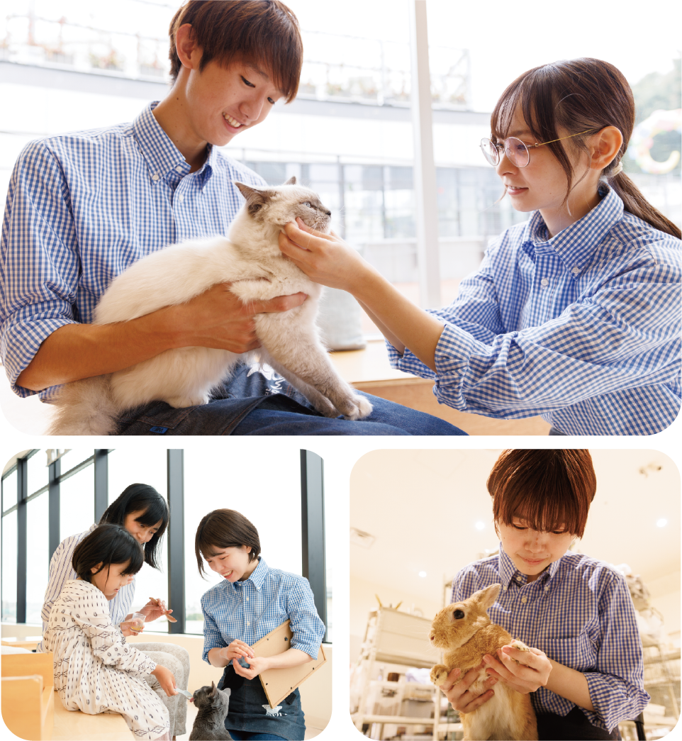 スタッフと猫が打ち合わせをしている様子