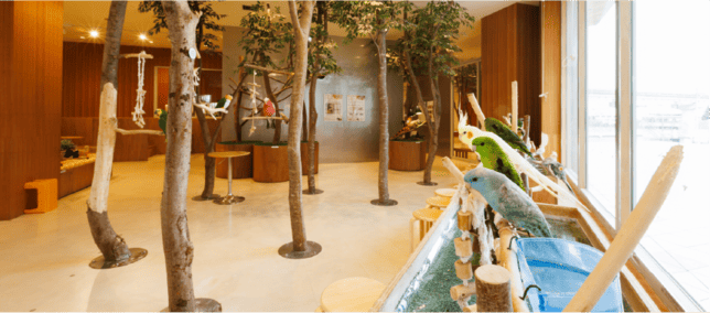 Moff animal cafe/animal world