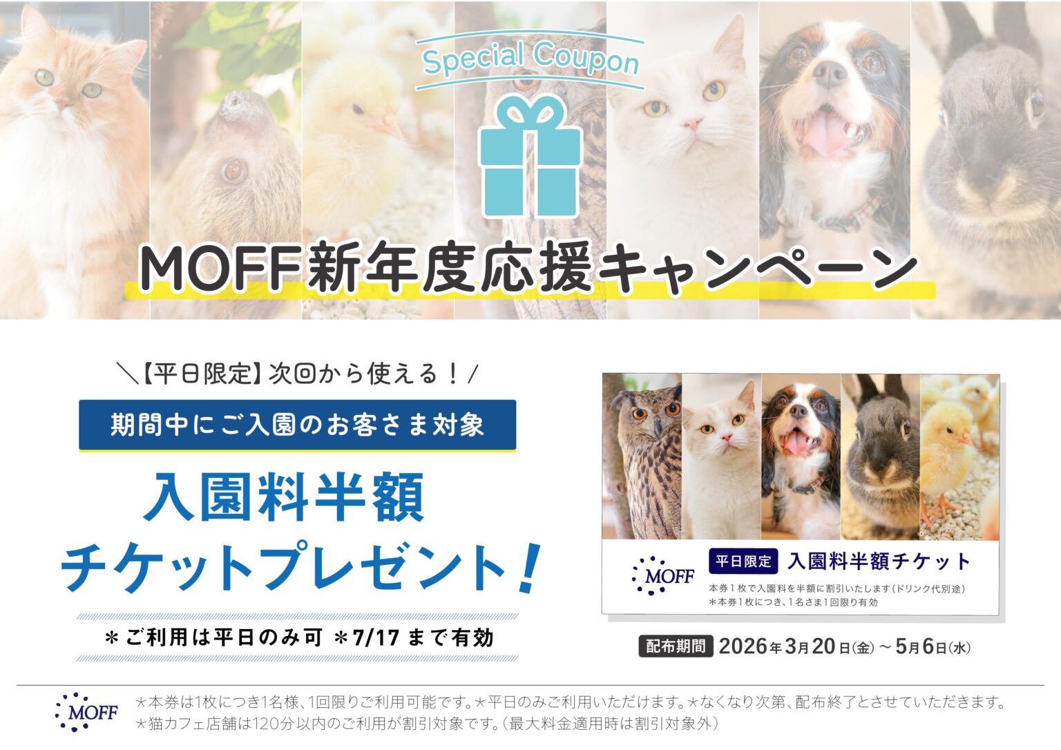 couponmoff