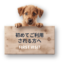 For first-time visitors to our dog cafe